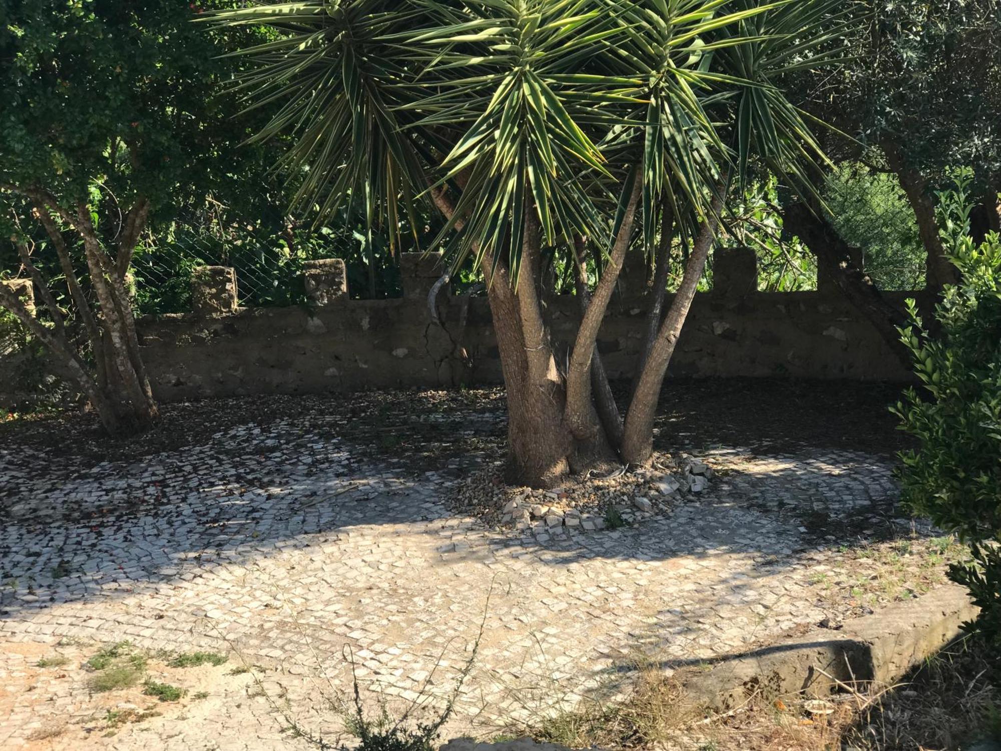 Quinta Dos Canais Setubal Exterior photo